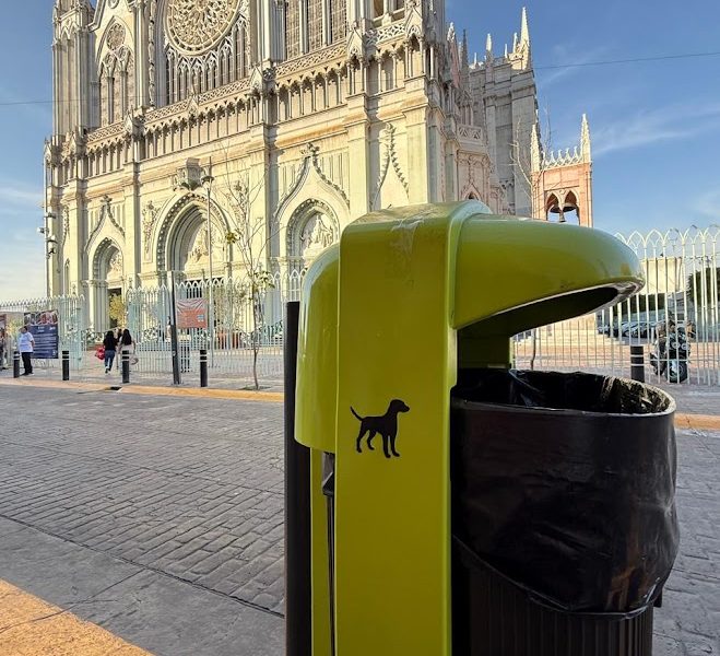 IMG-20260201-WA0011-659x600