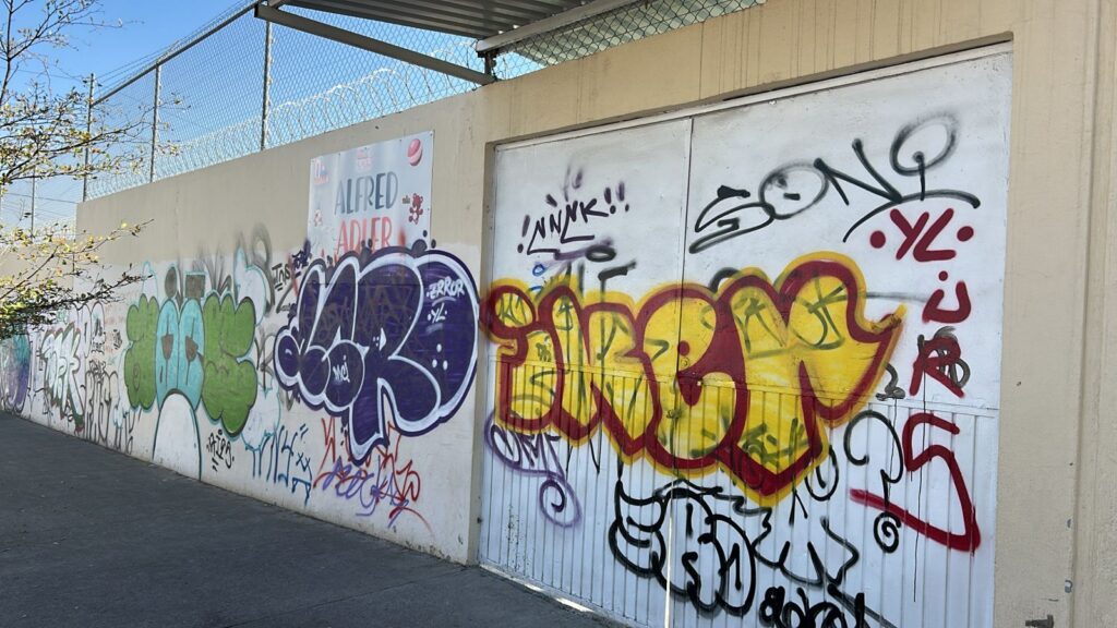 WhatsApp Image 2026-02-04 at 6.49.31 AM