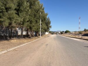 WhatsApp-Image-2026-03-22-at-12.54.19-PM