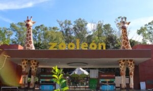 IMG-20251207-WA0044-1000x600