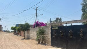 WhatsApp Image 2026-04-17 at 7.19.43 AM (1)