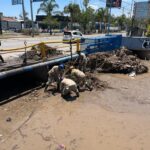 SAPAL ha recolectado más de 60 mil toneladas de basura y lanza campaña de concientización en la que Invita a la población a recoger su basura.