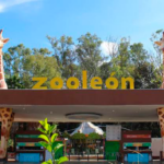 Exigen plan integral para rescatar al Zoológico de León tras detección de gusano barrenador.
