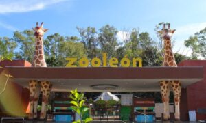 ZOOLOGICO