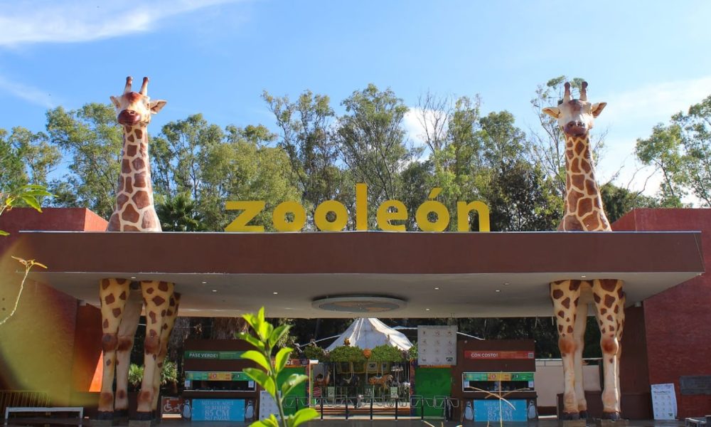 ZOOLOGICO