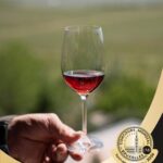 ¡Guanajuato conquista el Concurso Mundial de Bruselas! Oro en Armenia y sede de la gran gala global en noviembre.