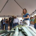 Guanajuato ¡Sí Sabe! 2026: El Estado se Consagra como el Epicentro de la Grandeza Enogastronómica de México.