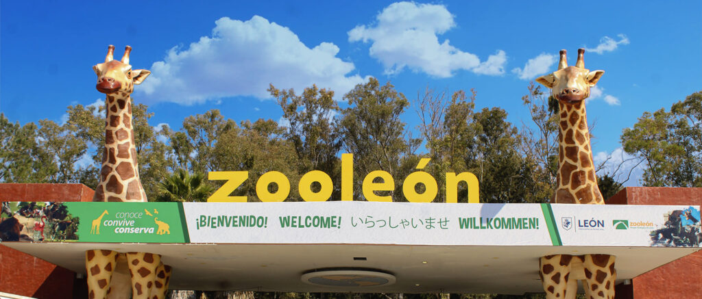 Cuestiona síndico reserva de contrato del Zoológico; pide transparencia sin afectar procesos legales.