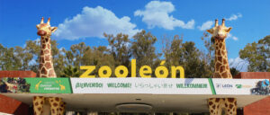 Cuestiona síndico reserva de contrato del Zoológico; pide transparencia sin afectar procesos legales.