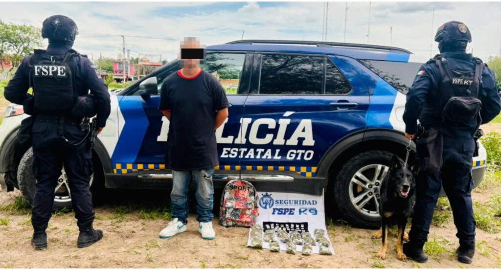 Detecta-Unidad-Caninca-K9-mas-de-660-dosis-en-Irapuato