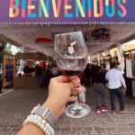 Del origen de la Vid al despertar de tus sentidos : La invitación perfecta a la 5a fiesta del vino en Dolores Hidalgo.