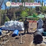Inhabilitan en Sinaloa el segundo laboratorio clandestino más grande en lo que va del sexenio del Gobierno Federal.